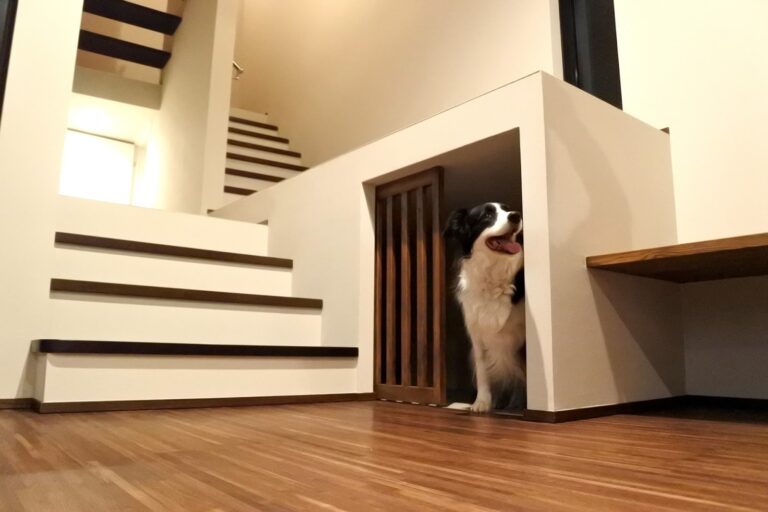 ペットがいる住宅の任意売却の注意点は？査定額への影響などを解説